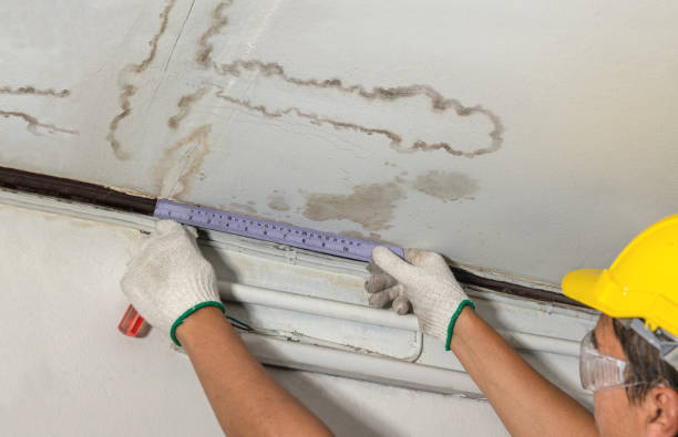 Reliable Burst Pipe Cleanup contractor in Augusta, KS by Water Damage Irwin